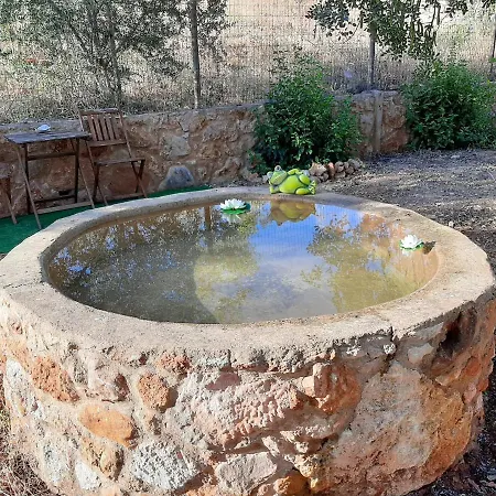 Quinta Do Cerro Sao Vicente *