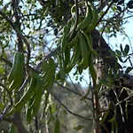 Quinta Do Cerro Sao Vicente *