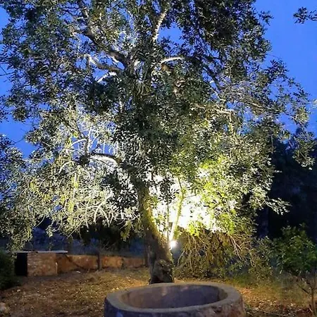 Quinta Do Cerro Sao Vicente *